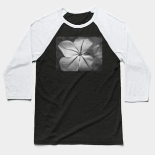 Delicate Bue Flower Photography V3 Baseball T-Shirt